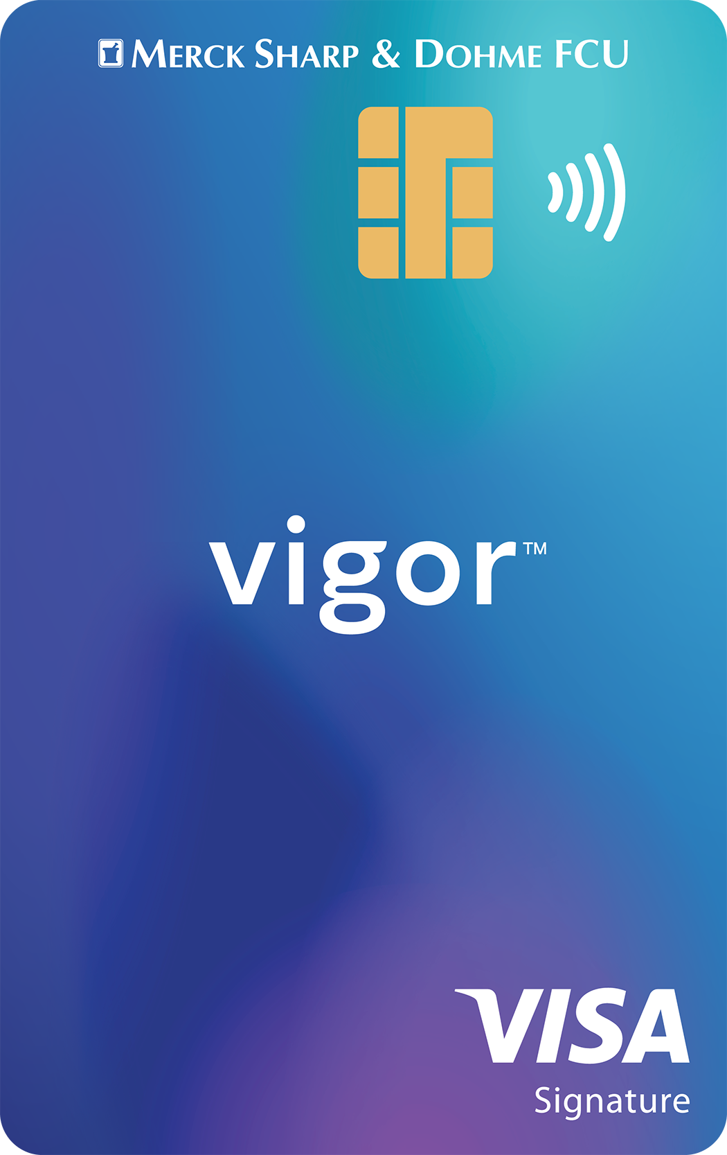 Visa Vigor Card Example